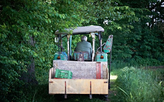 Nägel Senior auf dem Traktor