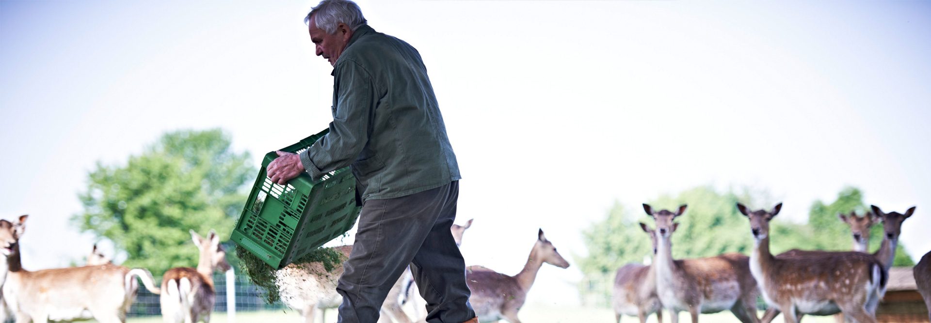 Nägel Erlangen Nägelhof Nägel Senior Story Nägel Senior füttert die Wildherde